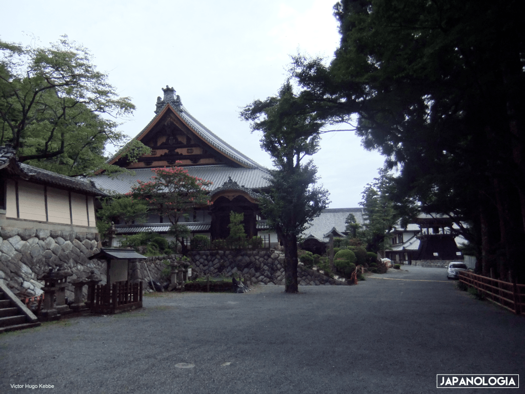 Cachorro ou Leão? Os&nbsp;dois!