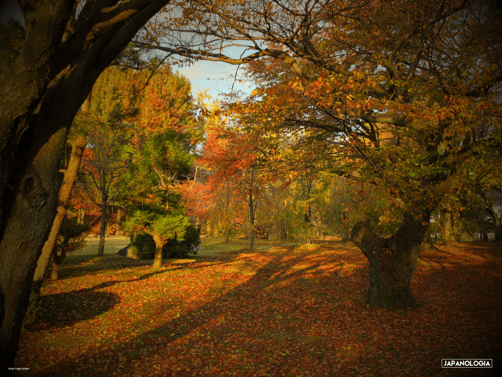 Um dia em&nbsp;Kyoto