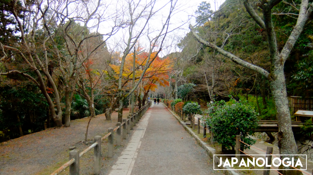 O aniversário está&nbsp;chegando